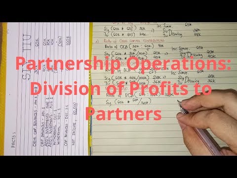 Partnership Formation Individuals with No Existing Business
