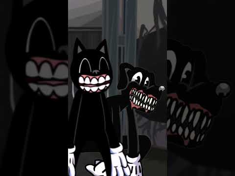 Cats vs. the Camera Video 📸