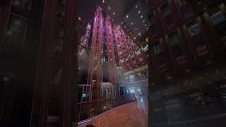 Carnival Spirit Reviews #cruiseship #cruisetour #travel #cruise #travelvlog #travel #carnivalspirit