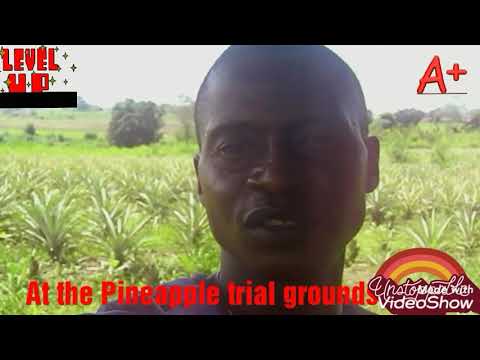 Njala Campus Mokonde