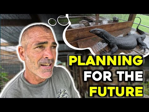 Planning the Future of the Cages