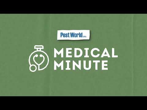 Medical Minute: Lyme Disease & COVID-19