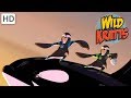 Wild Kratts - Showcasing Beautiful Animals # | Videos For Kids