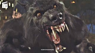 Download lagu Van Helsing Werewolf vs Dracula... mp3