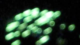 Matt Pond PA- Reading