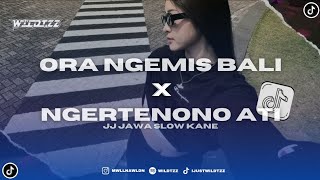 Download lagu DJ ORA NGEMIS BALI X NGERTENONO ATI JAWA PRIDE SLOW KANE YANG JALIAN CARI VIRAL TIKTOK TERBARU 2025 mp3