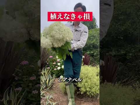 開花を促進するために2月に剪定する6つの低木  庭園
