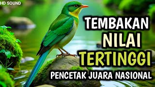 Download lagu TERAPI UNTUK SEMUA JENIS BURUNG , SUARA GEMRICIK AIR , MASTERAN TERMEWAH FULL TEMBAKAN || SINGO EDAN mp3 Download lagu TERAPI UNTUK SEMUA JENIS BURUNG , SUARA GEMRICIK AIR , MASTERAN TERMEWAH FULL TEMBAKAN || SINGO EDAN mp3