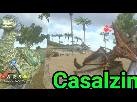 Casal de Pteranodonte + Dodo Gigante!!! | Mundo Seguntivo - Ep. 7