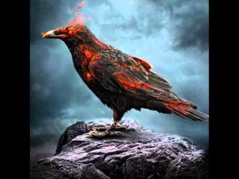 Professor Saibertin - In