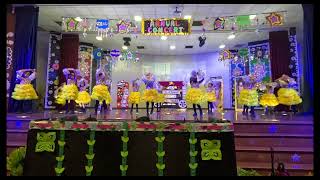 The Millennium School Video