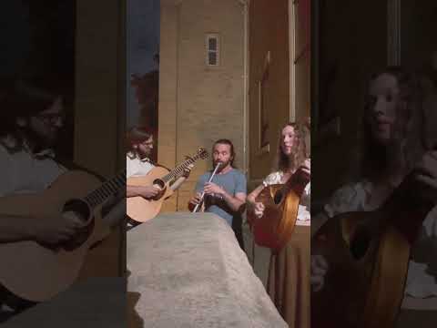 Making Friends… #shorts #mandolin #bard #castle