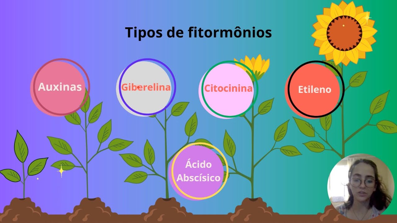 Show das Plantas - Hormônios vegetais (PARTE II)