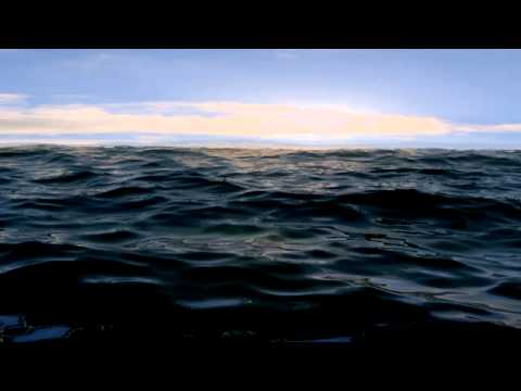 Pāri dzelmei - izpilda Vija Mudīte Plēģere