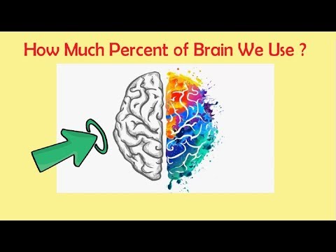 What percentage of your brain do you use?