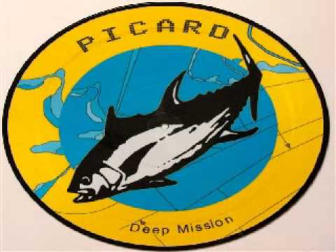 DJ Arne L II & DJ Mirko Milano presents Picard - Assimilation