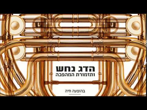 הדג נחש ותזמורת המהפכה - לא מספיק​/​לא מוותר​/​לא פראיירים