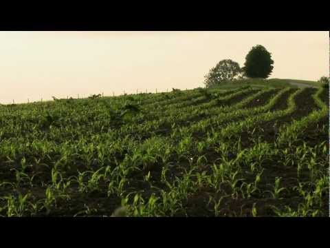 ZIST - MENSCHLICHES POTENTIAL ENTFALTEN 2013