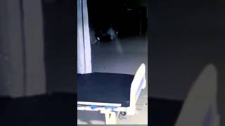 Espectro en #Hospital 👤😨 #espiritu #haunted #ghost #fantasma #paranormal #spirits #soloparanormal