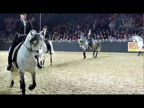 Equitana 2013 - Schimmel in Aktion