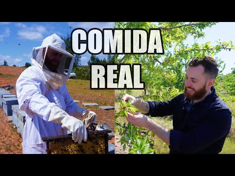 COMIDA REAL – como se diferencia
