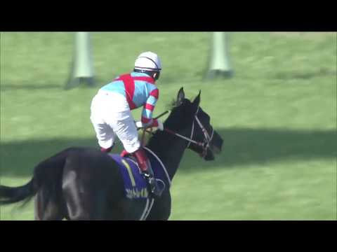 Japanese Horse Racing Satsuki sho PV