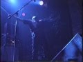 Hank III - Life Of Sin 