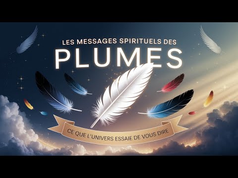 Quels sont les messages spirituels des plumes | interpretation des reves