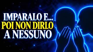 Il campo quantistico risponde solo a QUESTO