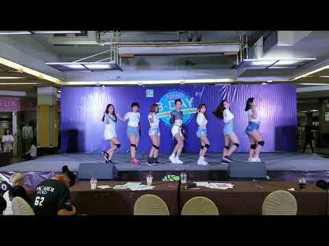 [ YokoAn B-day 2019 #13 Special Show ] Sleeping Forest Cover Tiffany