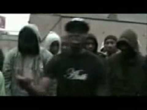 STREETZ SELECTED DVD - PESTER FT YOUNG P MONEY, HITMAN, SHARPA & STRAPZY FREESTYLE + MUSIC VIDEO