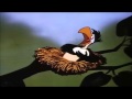 Bird Same Disney