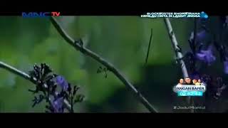 Download lagu Mabak (Rhoma I ft Noer H - Bahtera Cinta) mp3