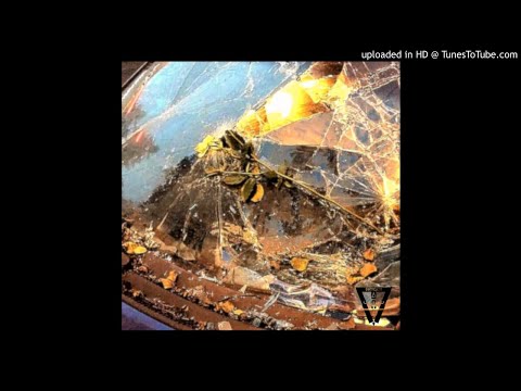 tres x pajønk - deszczowy dzien z poczatku wszystkiego