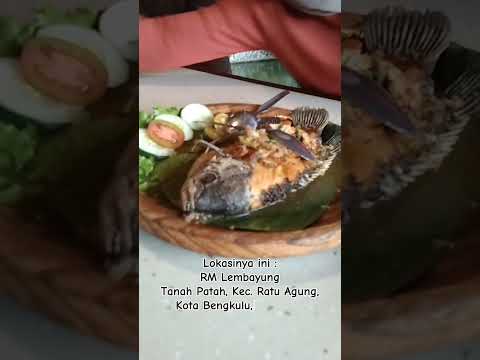 Berkunjung ke Bengkulu? Jangan lewatkan tempat makan dengan view yang bikin betah! 🍽️✨