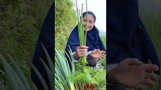 Download lagu Cook Super Big Fritters mp3 Download lagu Cook Super Big Fritters mp3