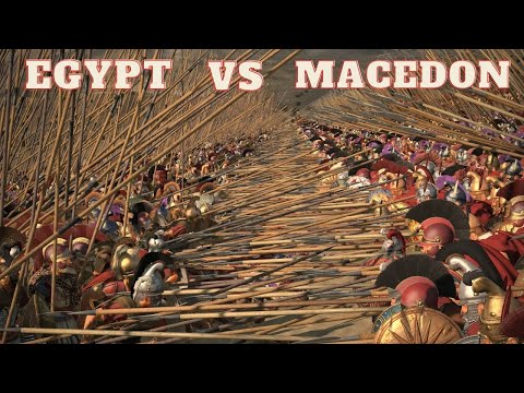 Divide et Impera | Macedon | Total War: Rome 2 | Ep:20 | Egypt vs Macedon