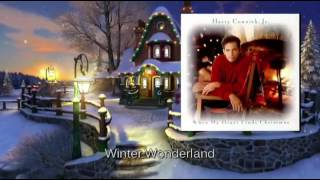 Harry Connick Jr - Winter Wonderland