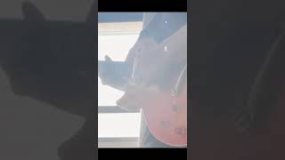 丸の内サディスティック