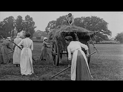 Women Hay Makers (1916)