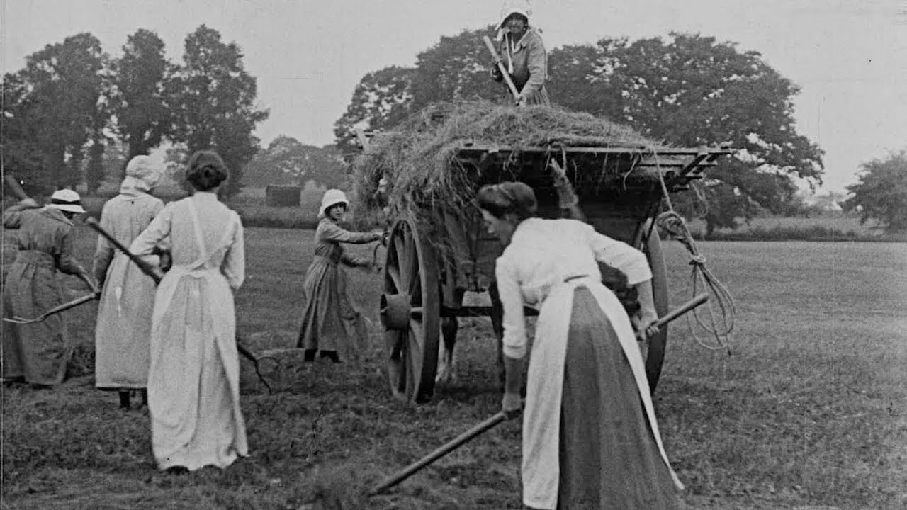 Women Hay Makers (1916)