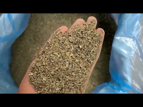 Dark green dry basil herbs, packaging type: bag, packaging s...