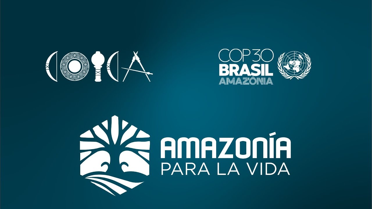 Avances Fondo Amazonía para la Vida