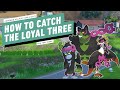 Pokemon Scarlet and Violet: The Teal Mask DLC – How to Catch the Loyal Three