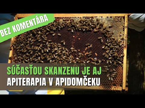 BEZ KOMENTÁRA - Včelársky skanzen v Moravanoch