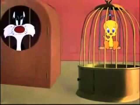 Eu acho que eu vi um gatinho