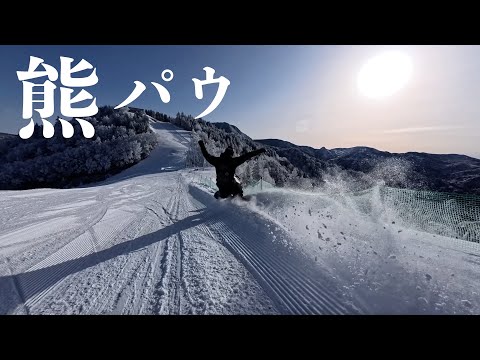 奇跡が起きた…！志賀高原熊の湯スキー場の極上パウダーでヒャッホイ