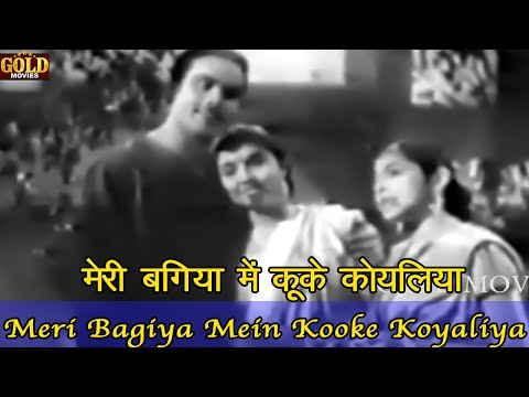 मेरी बगिया में कूके कोयलिया — वीडियो थंबनेल