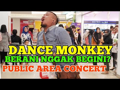 berani-nggak-begini-konser-dance-monkey-di-mall