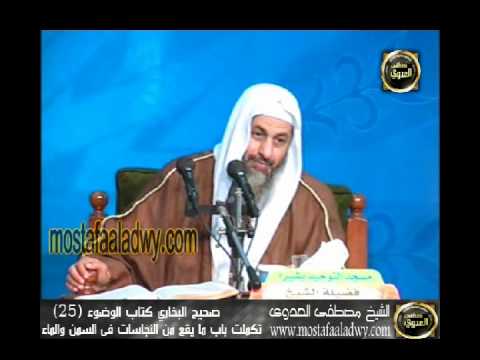  شرح صحيح البخارى   كتاب الوضوء 25 